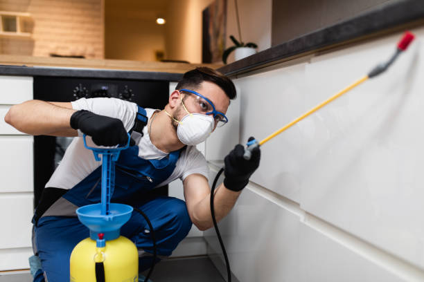 Best Pest Prevention Services  in Marlinton, WV