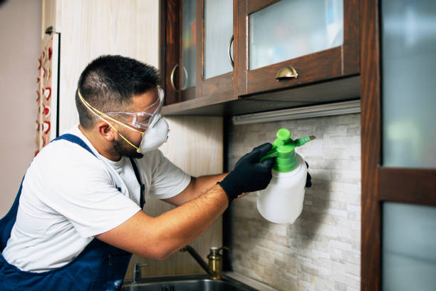 Best Best Pest Control Companies  in Marlinton, WV