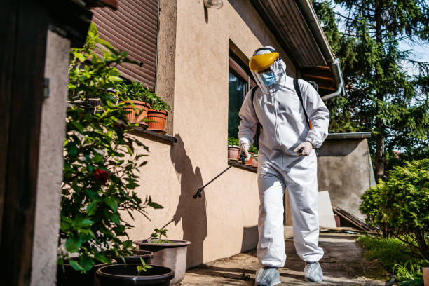 Best Emergency Pest Control  in Marlinton, WV