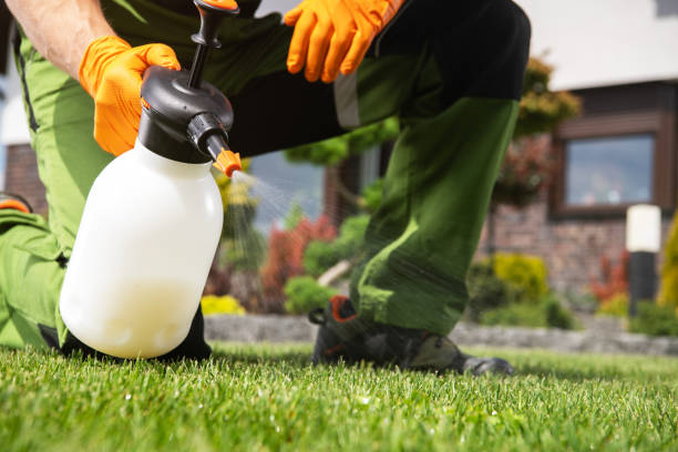 Best Pest Control Near Me  in Marlinton, WV