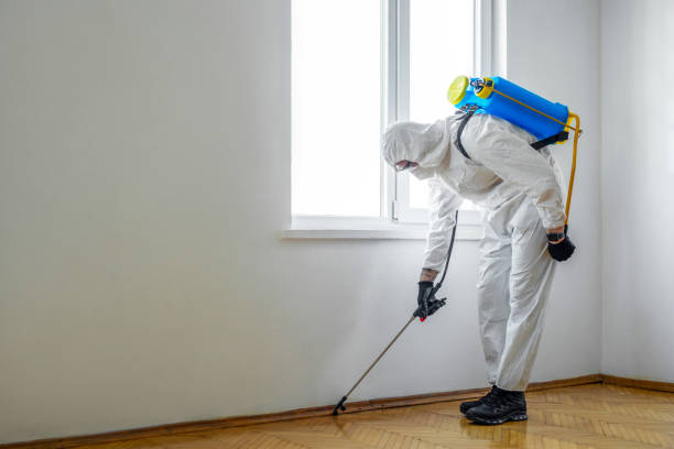 Reliable Marlinton, WV Pest Control Solutions