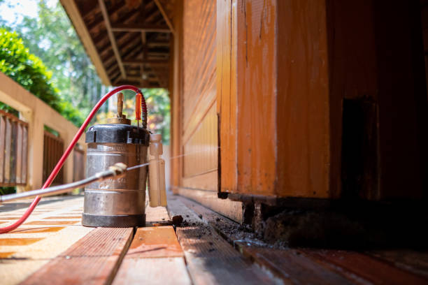 Best Exterminator Services  in Marlinton, WV