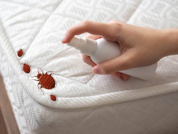 Marlinton, WV Pest Control Company