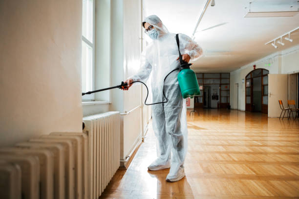 Best Affordable Pest Control Services  in Marlinton, WV