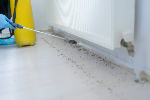 Best Residential Pest Control  in Marlinton, WV